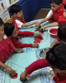 Colour-Day Celebrations